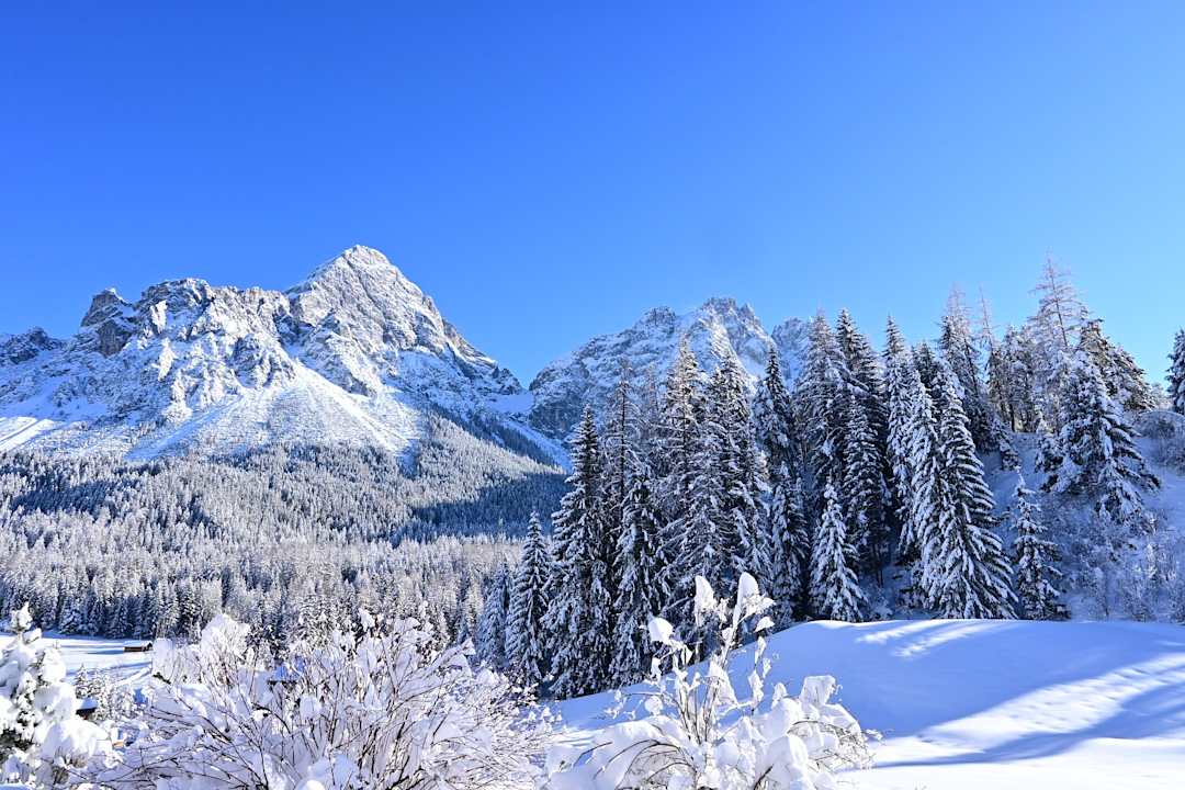 Ausblick CHALET Haus Martha