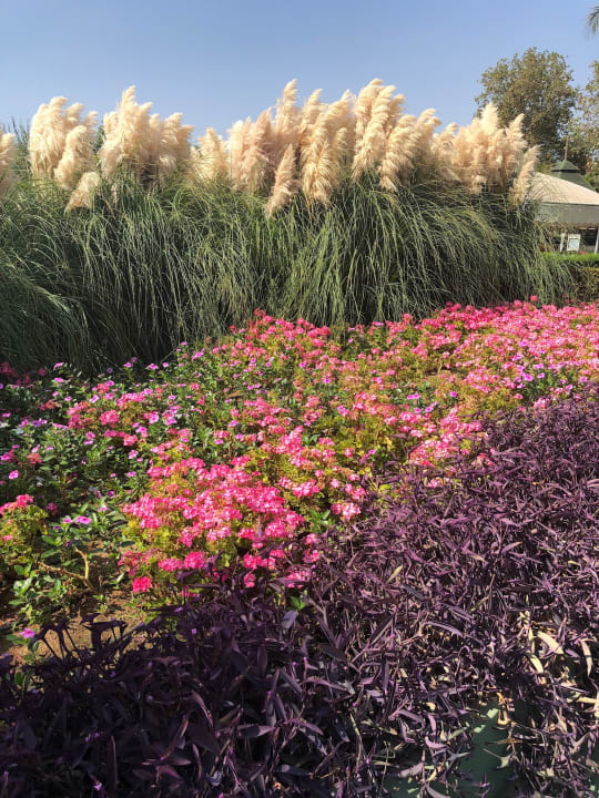 Gartenanlage Trendy Aspendos Beach Hotel