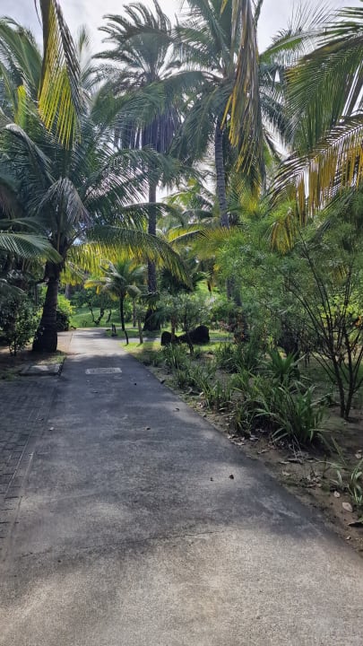Gartenanlage Paradis Beachcomber Golf Resort & Spa