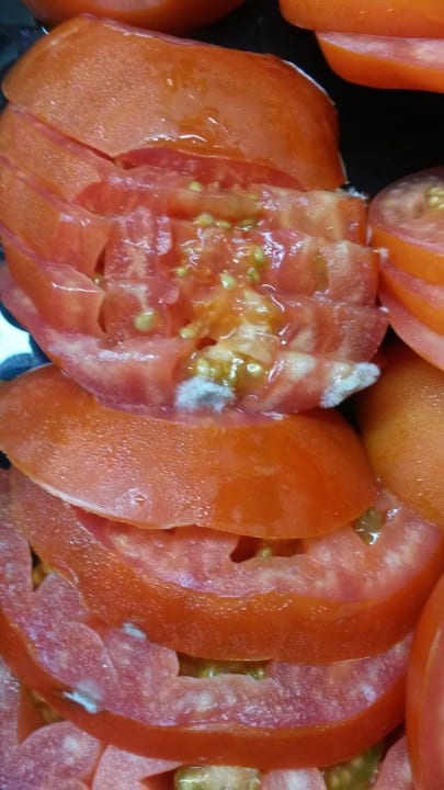 Verdorbene Tomaten Las Palmeras Affiliated by FERGUS