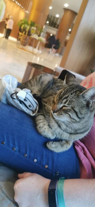 Lobby Side Star Elegance