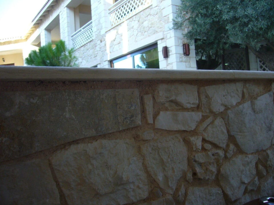 5Sterne Balkon Cactus Royal