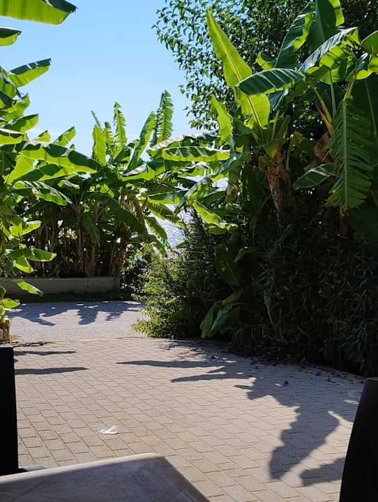 Strand Merve Sun Hotel & Spa