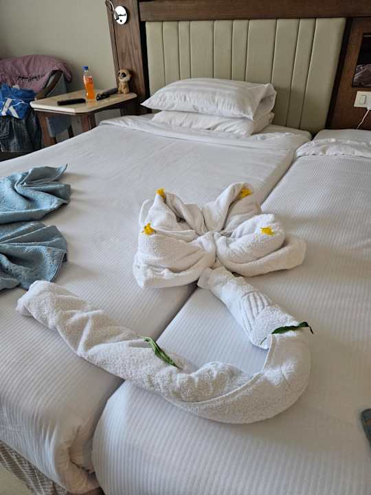 Zimmer Serenity Alpha Beach