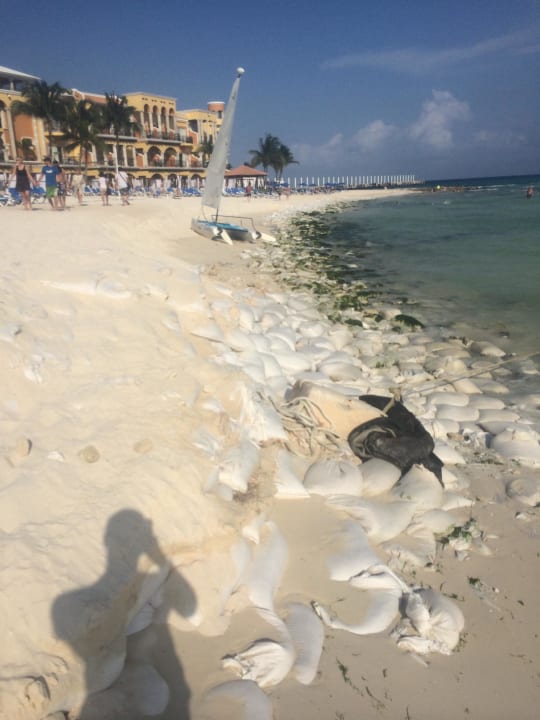 Sandsäcke Algen & Abfall Wyndham ALLTRA Playa del Carmen