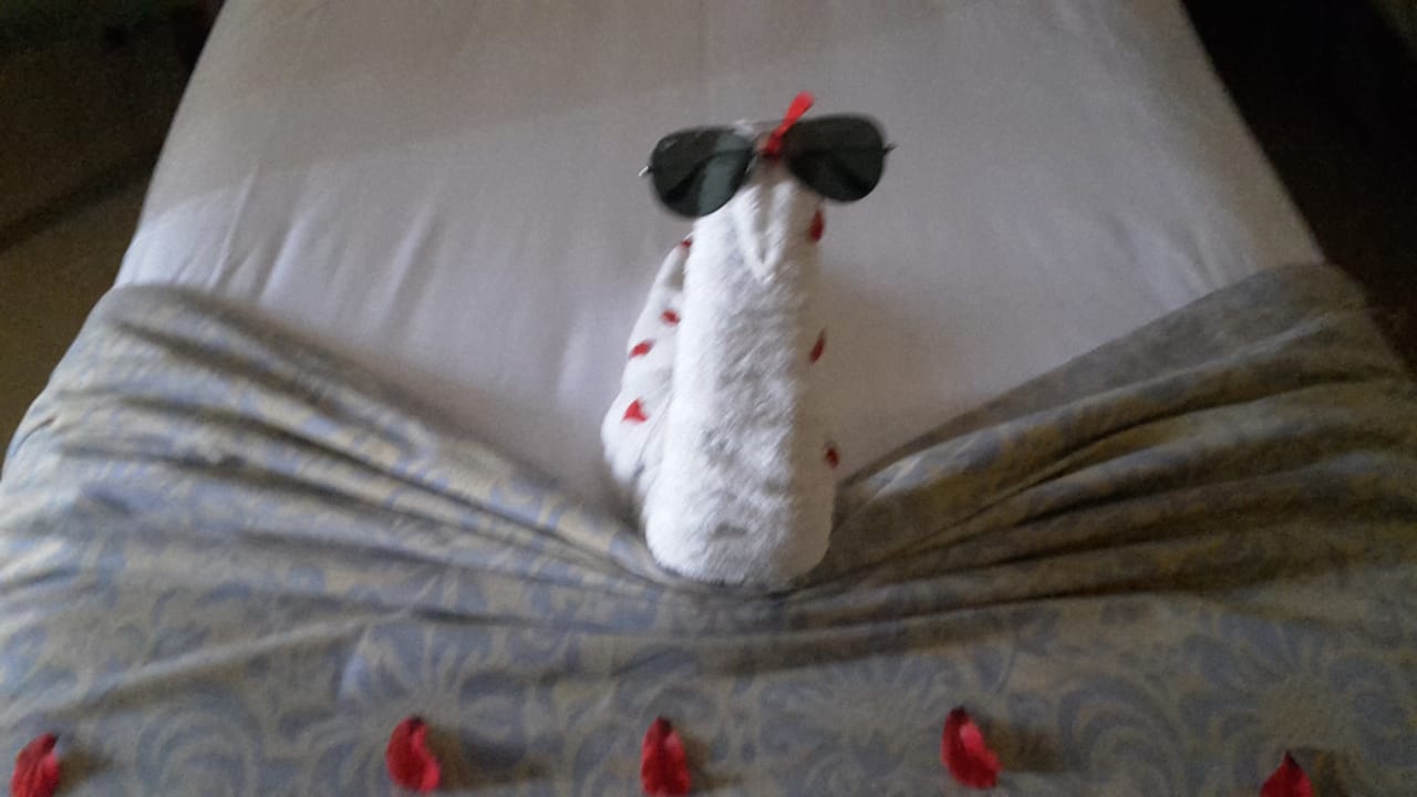 Zimmer Stella Garden Resort & Spa, Makadi Bay