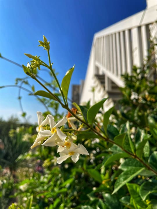 Außenansicht Diamond Deluxe Hotel & SPA