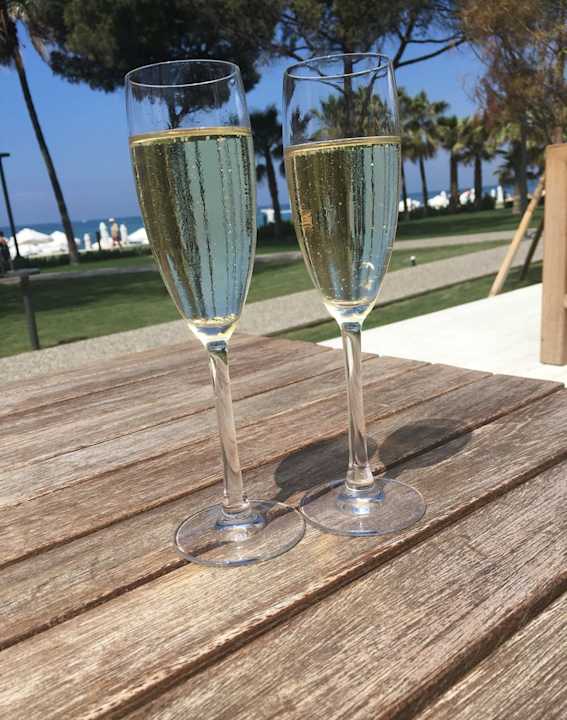 Gastro Acanthus Cennet Barut Collection