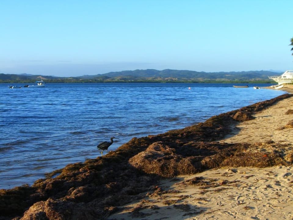 Il mare Robinson Crusoe Island Resort