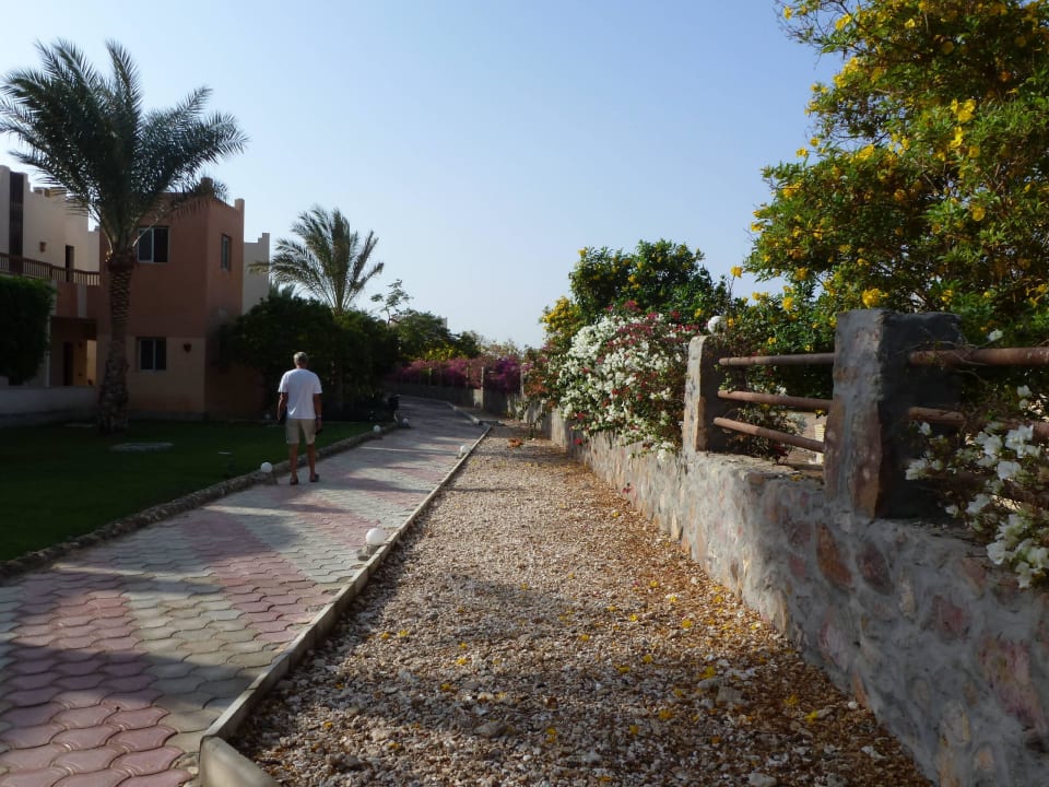 Immer wieder nett Three Corners Sea Beach Resort