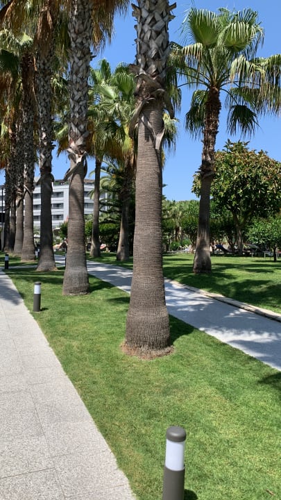 Gartenanlage Hotel Miramare Beach