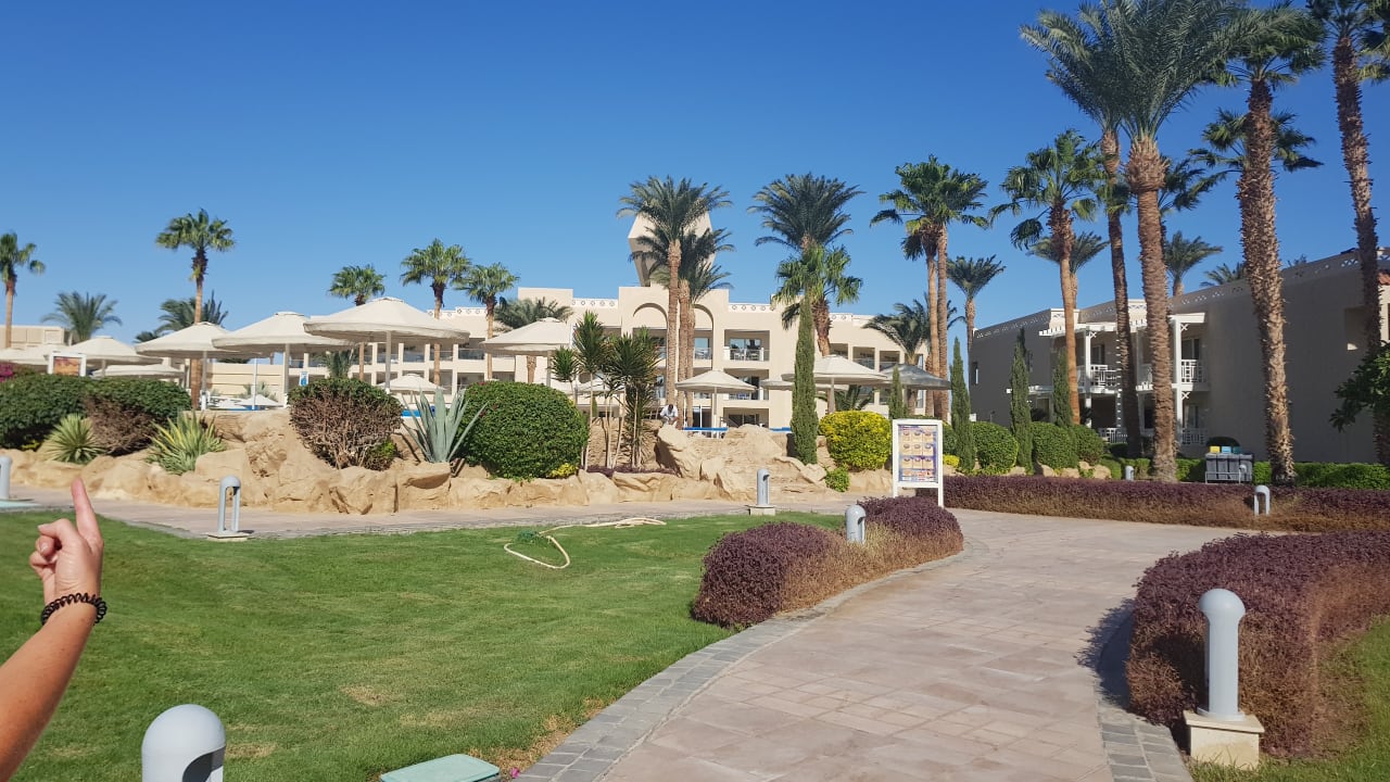 Gartenanlage Beach Albatros Resort
