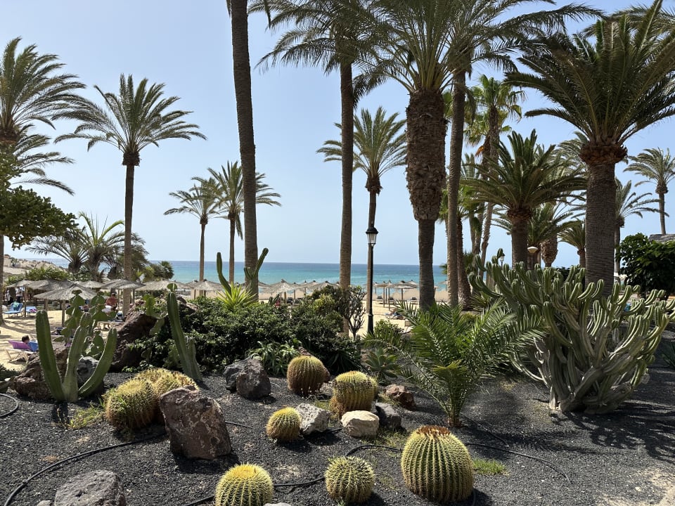 Gartenanlage SBH Costa Calma Beach Resort