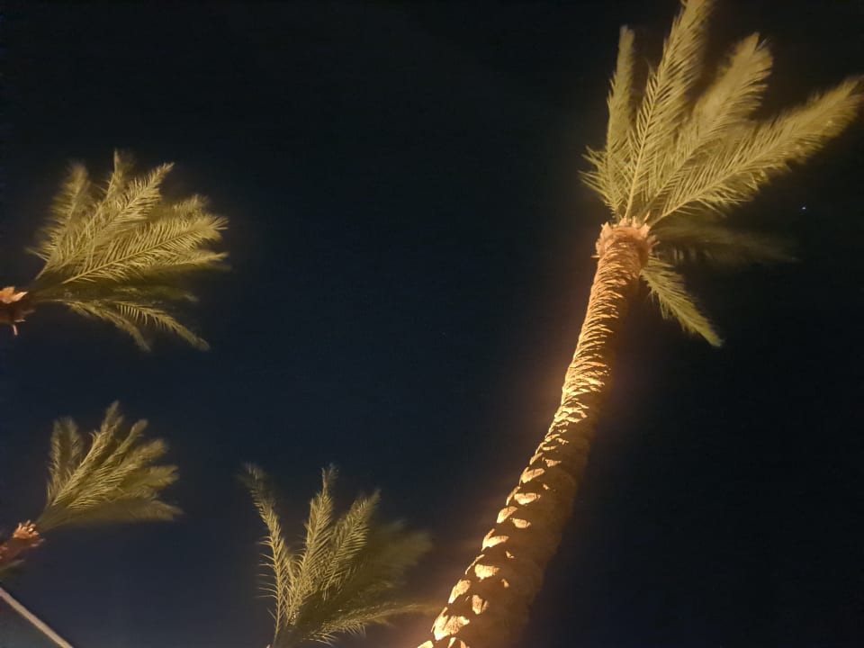 Sonstiges Continental Hotel Hurghada