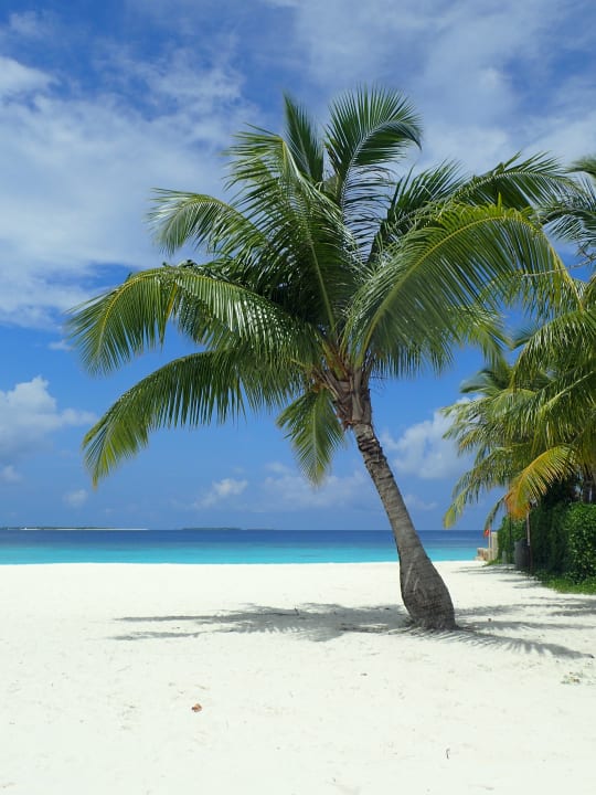 Strand Adaaran Select Meedhupparu Island Resort - Premium All Inclusive