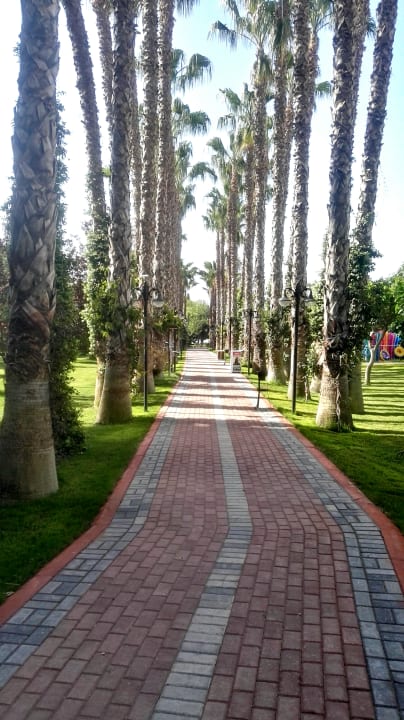 Strand Hotel Gardenia Beach