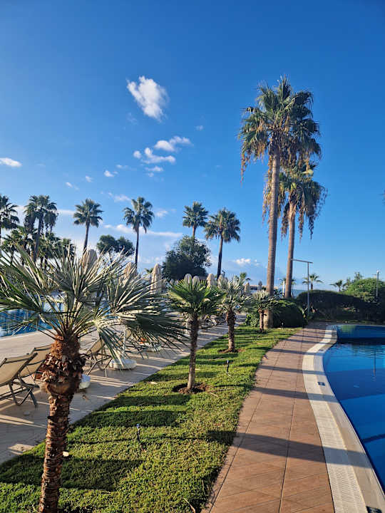 Pool TUI MAGIC LIFE Masmavi