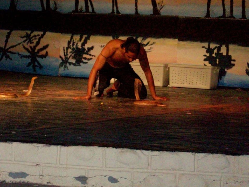 Cobrashow im Amphietheater Pickalbatros Alf Leila Wa Leila Resort - Neverland Hurghada