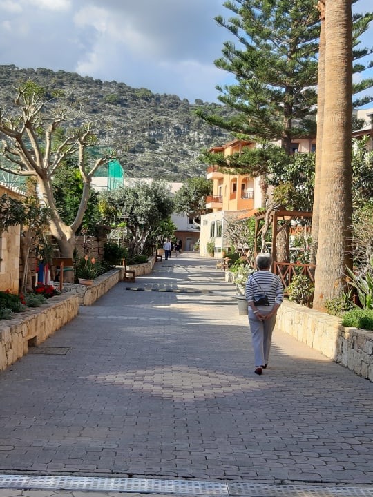Gartenanlage Cactus Beach