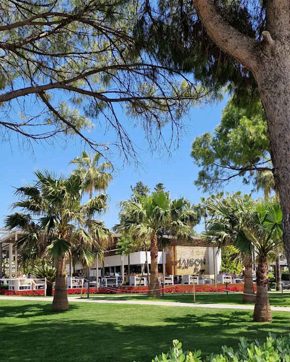 Gastro Acanthus Cennet Barut Collection