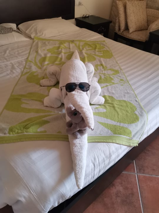 Zimmer Three Corners Sea Beach Resort