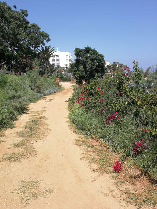 Außenansicht Crystal Springs Beach Hotel