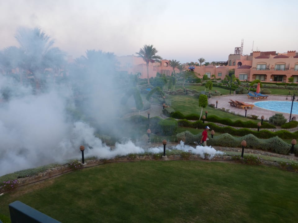 Alltägliche Ungeziefer Tötung Sentido Akassia Beach