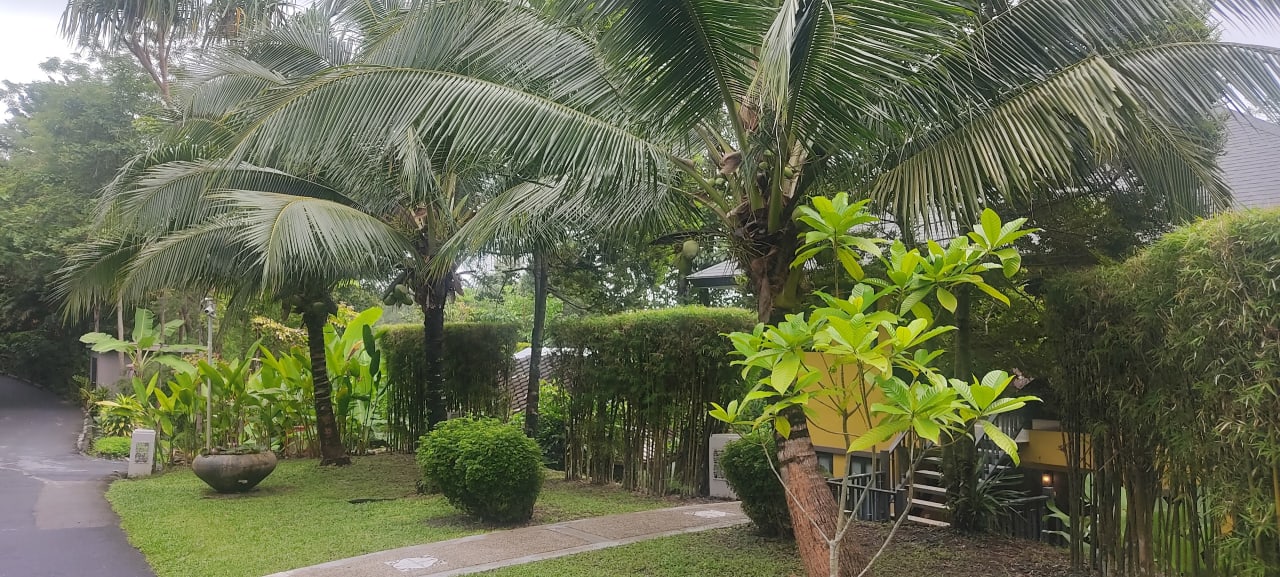 Gartenanlage Moracea by Khao Lak Resort