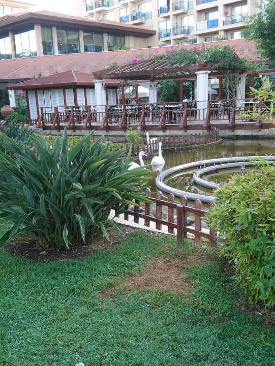 Gastro IC Hotels Green Palace