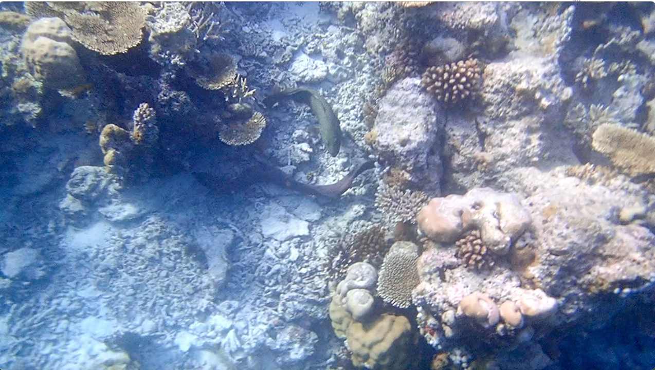 Sonstiges Vilamendhoo Island Resort & Spa