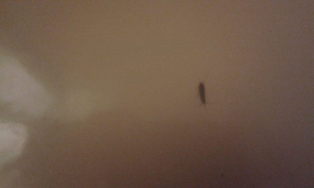 Zimmer Seehotel Sonnengruss