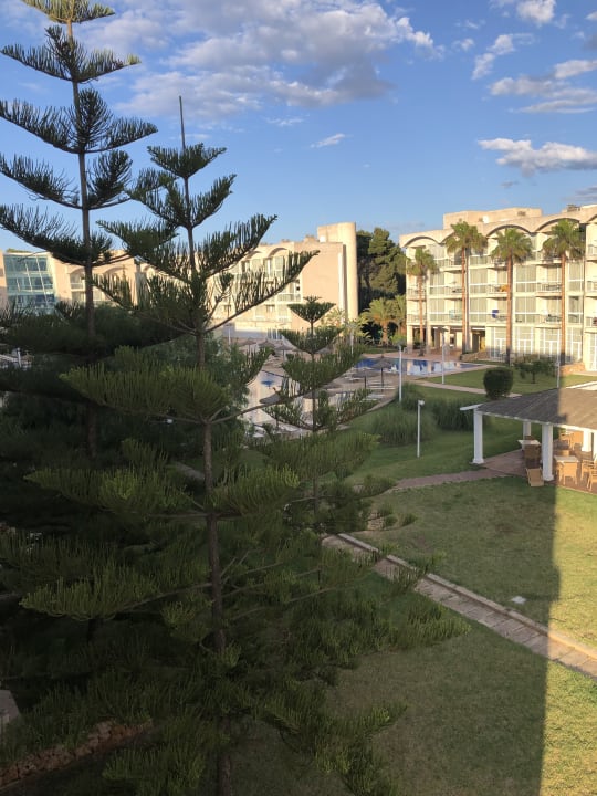 Gartenanlage Hotel Zafiro Alzinar Mar