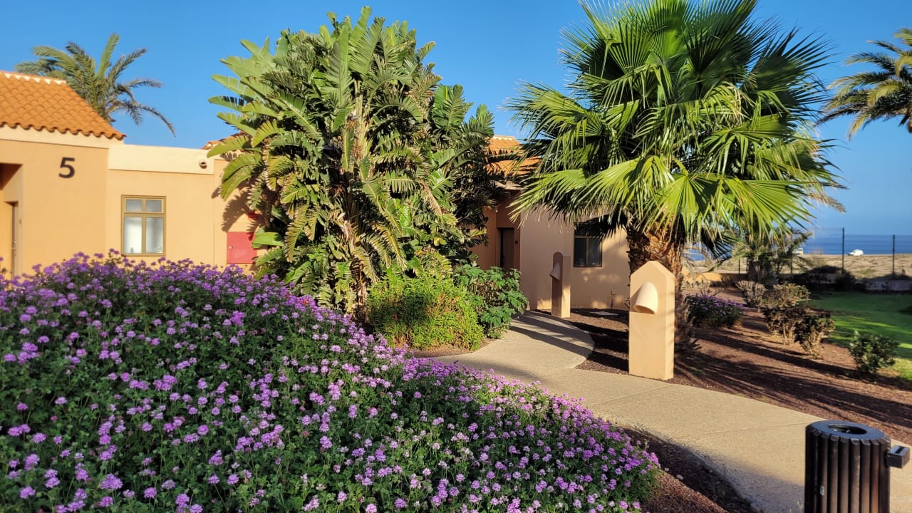 Gartenanlage Bakour Fuerteventura La Pared