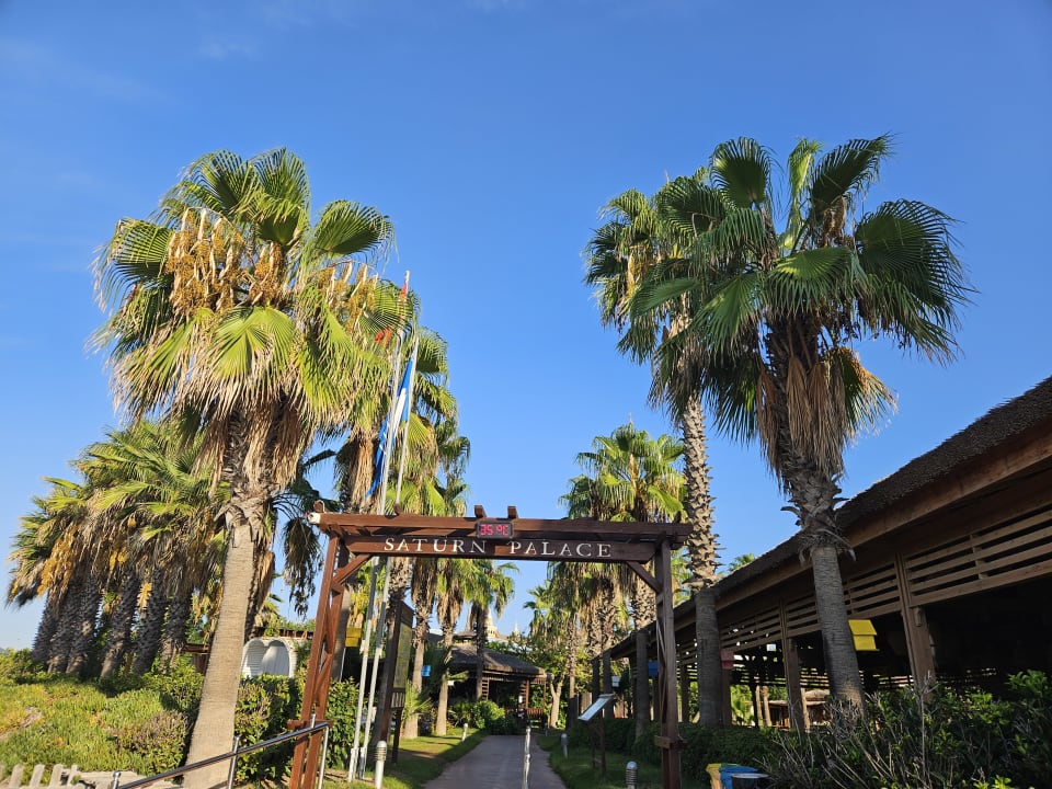 Gartenanlage Saturn Palace Resort Hotel