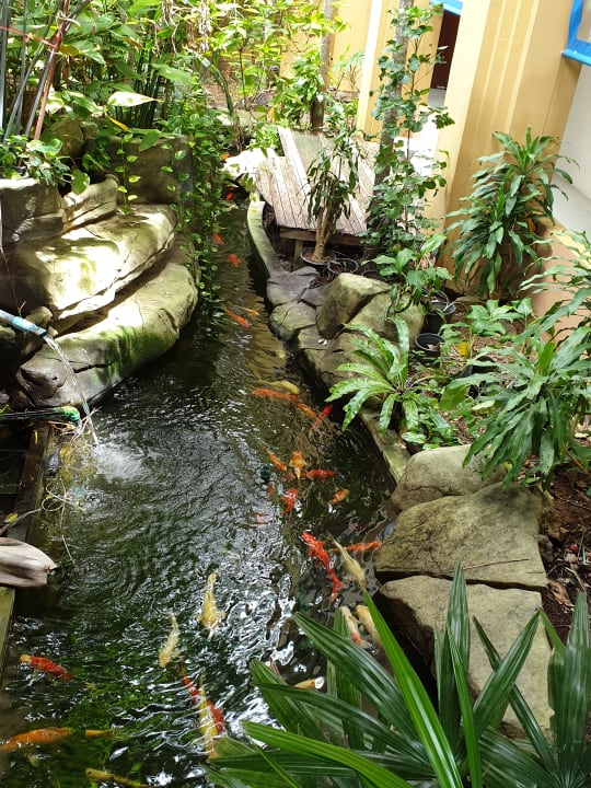 Gartenanlage Hotel Rawai Palm Beach Resort