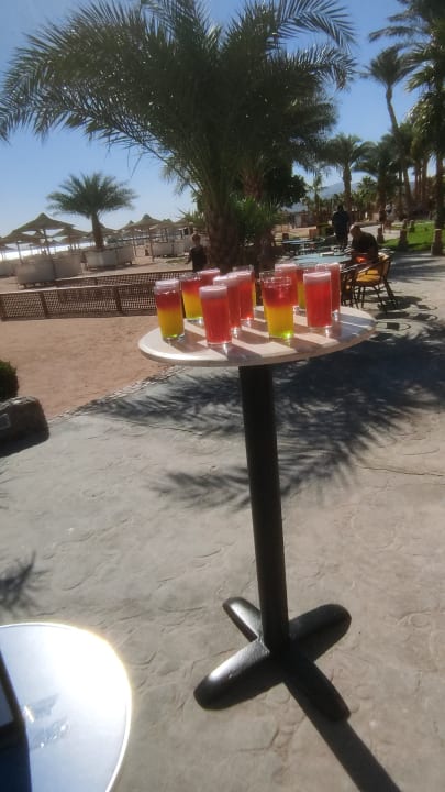 Gastro Imperial Shams Abu Soma