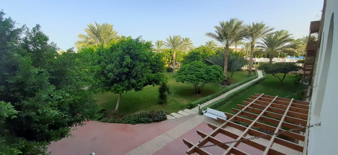 Ausblick Desert Rose