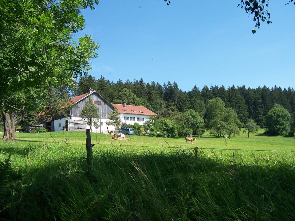 Waldrandlage Ferienwohnungen Kraushof