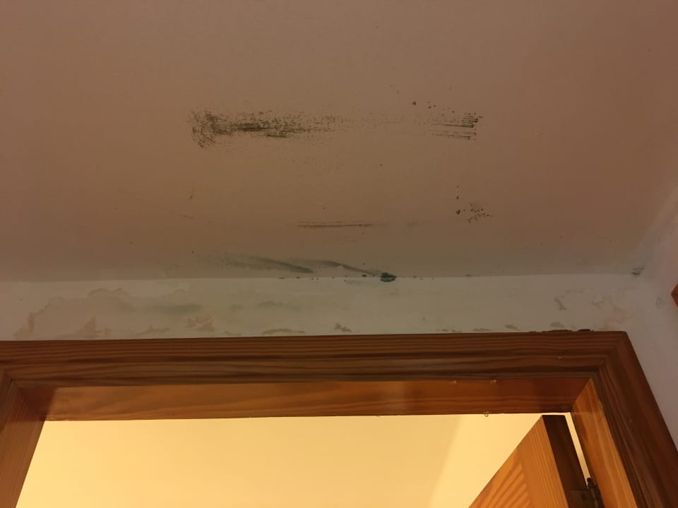 Zimmer Hotel Riu Oliva Beach Resort