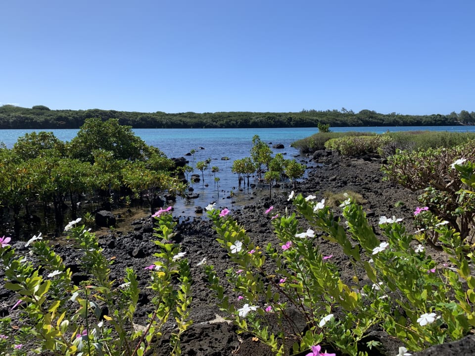 Strand Shandrani Beachcomber Resort & Spa