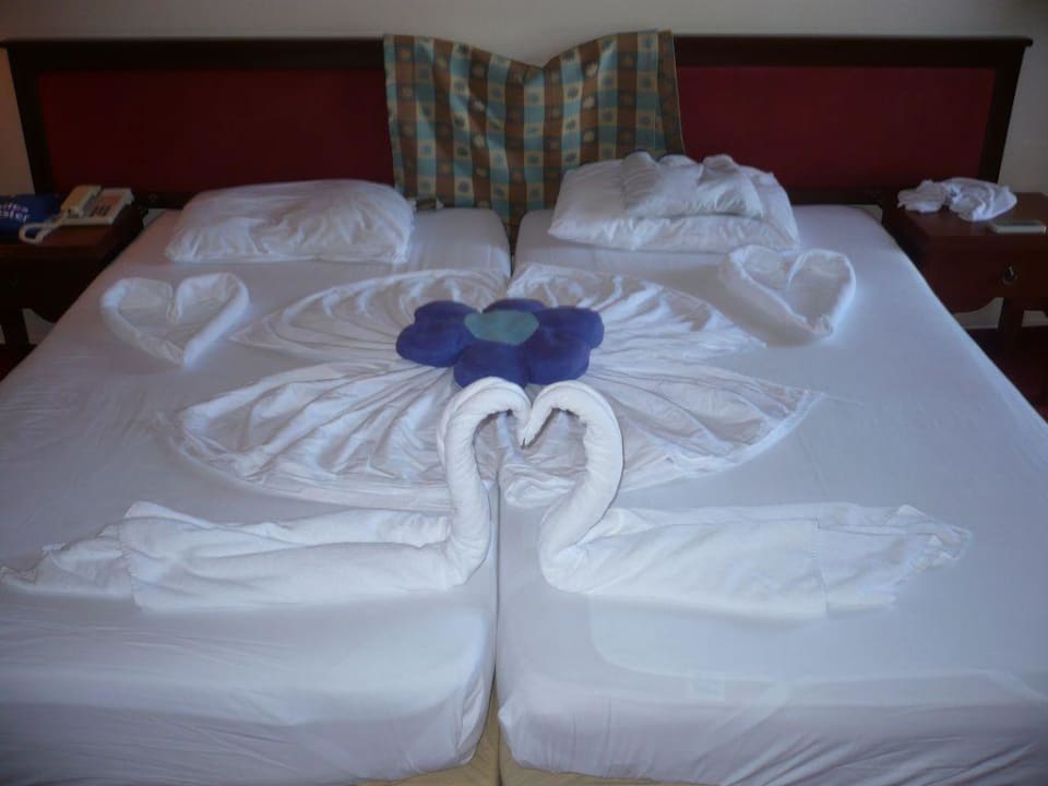 Zimmer Marvida Family Eco