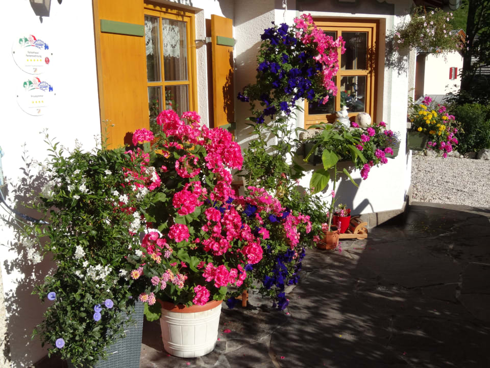 Gartenanlage Ferienwohnungen Oslhof