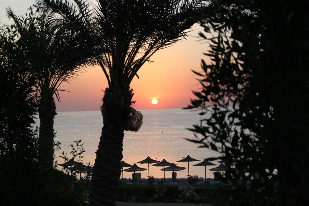 Sonnenaufgang Meer Fantazia Resort Marsa Alam