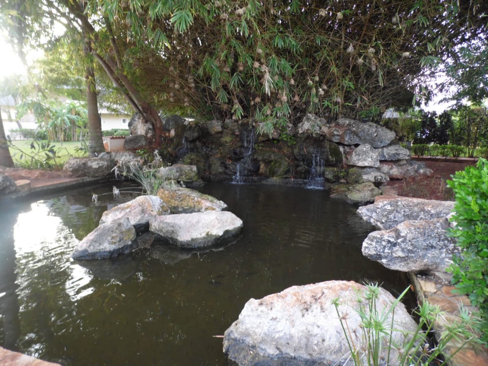 Teich mit kleinem Wasserfall im Hotelgarten TUI Blue Bahari Zanzibar