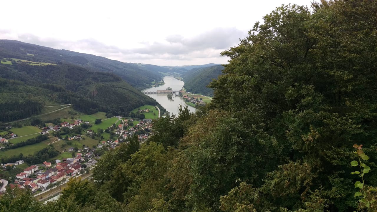 Blick zur Donau Bauernhof Rauscher