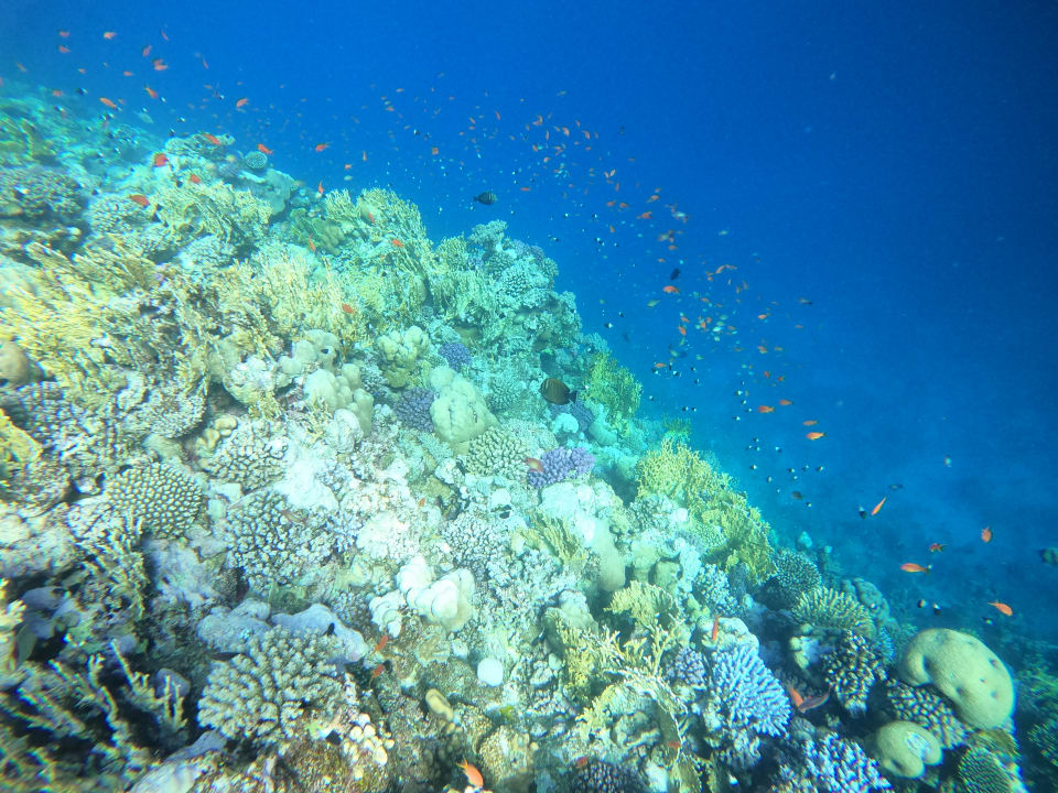 Strand Three Corners Sea Beach Resort