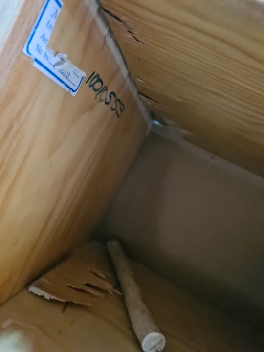 Zimmer Starfish Cuatro Palmas