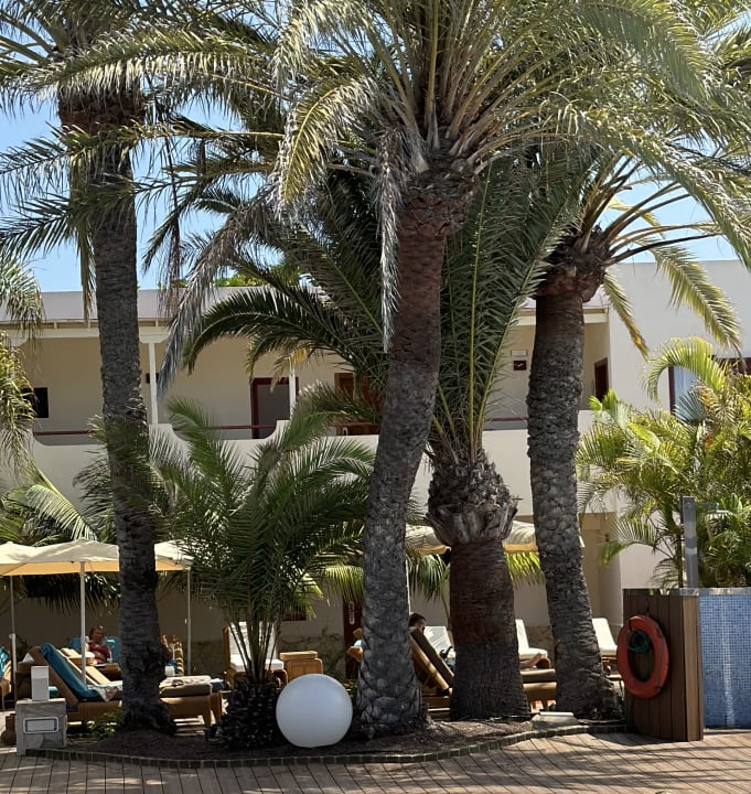 Pool Alua Suites Fuerteventura