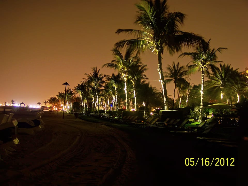 Strand bei Nacht JA Palm Tree Court