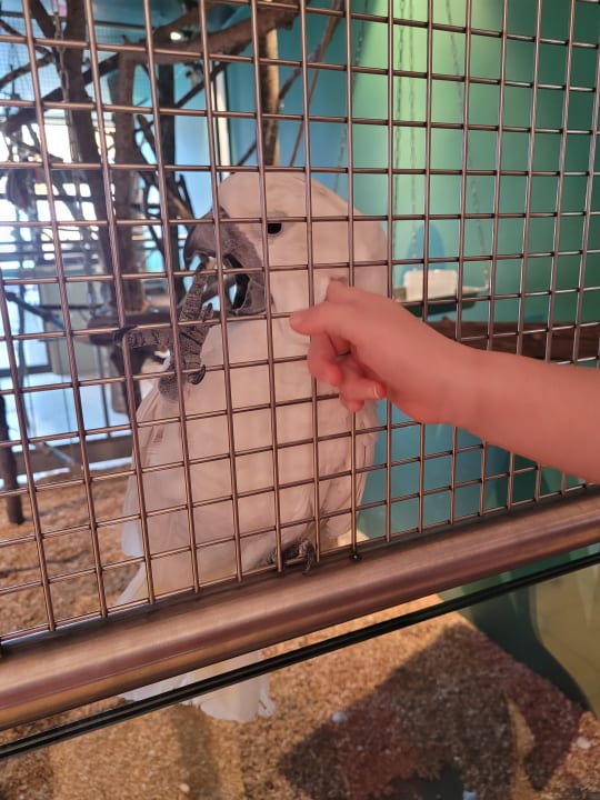 Sonstiges EdeR FriDa - Family Hotel